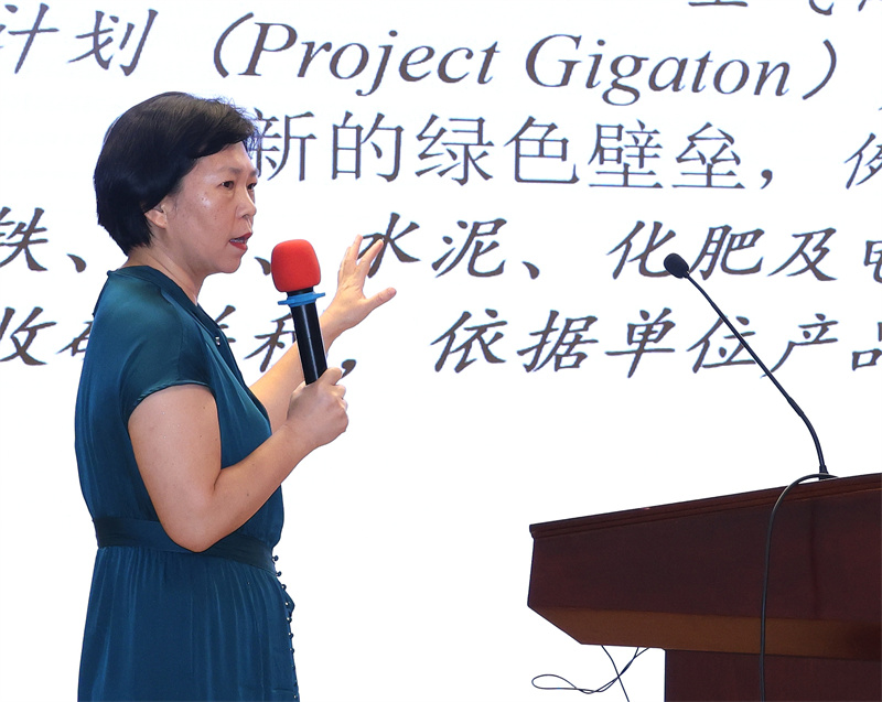 4、李巖教授（中國(guó)人民大學(xué)環(huán)境學(xué)院教授、博士生導(dǎo)師 ）.jpg